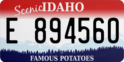 ID license plate E894560