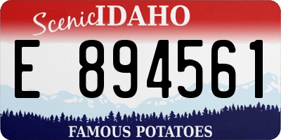 ID license plate E894561