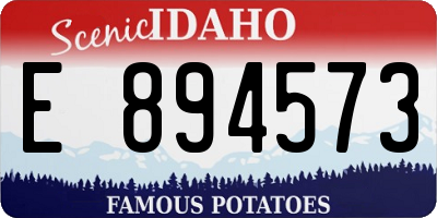 ID license plate E894573
