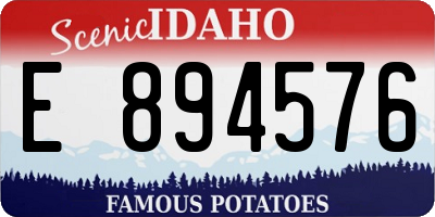 ID license plate E894576