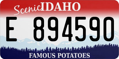 ID license plate E894590