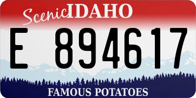 ID license plate E894617