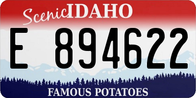 ID license plate E894622