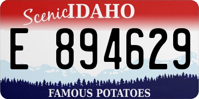 ID license plate E894629