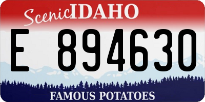 ID license plate E894630