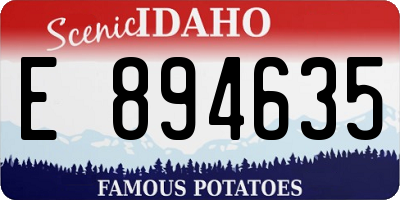 ID license plate E894635