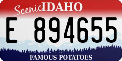 ID license plate E894655