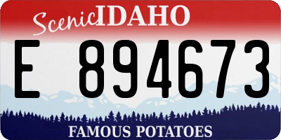 ID license plate E894673