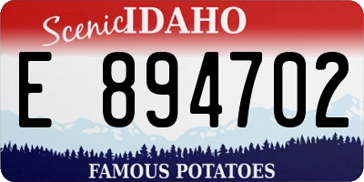 ID license plate E894702