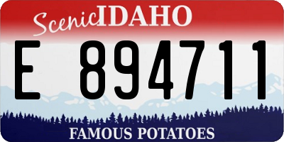 ID license plate E894711