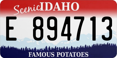 ID license plate E894713