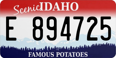 ID license plate E894725