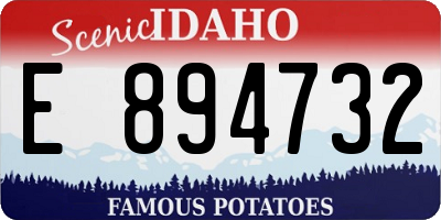 ID license plate E894732