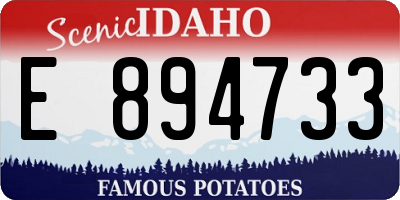ID license plate E894733