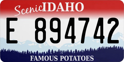 ID license plate E894742