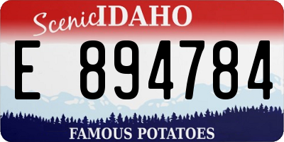ID license plate E894784