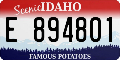 ID license plate E894801