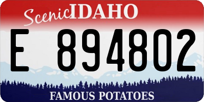 ID license plate E894802