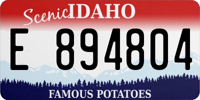 ID license plate E894804