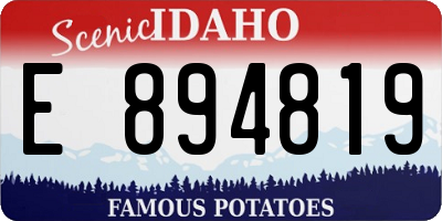 ID license plate E894819