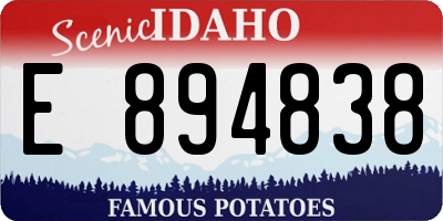 ID license plate E894838