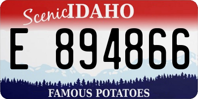 ID license plate E894866