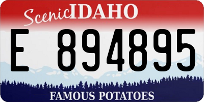 ID license plate E894895