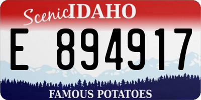 ID license plate E894917