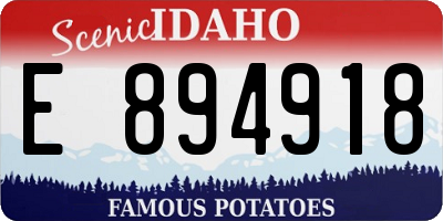 ID license plate E894918