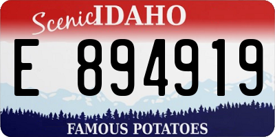 ID license plate E894919