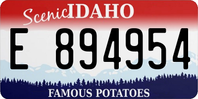 ID license plate E894954
