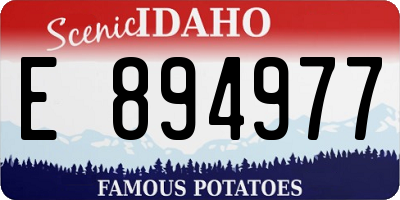 ID license plate E894977