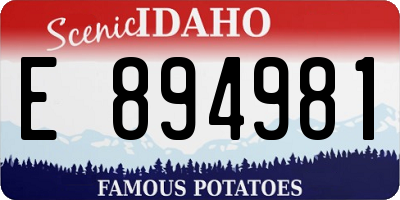ID license plate E894981