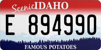 ID license plate E894990