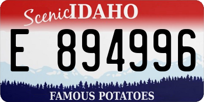 ID license plate E894996