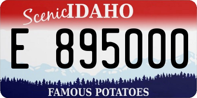 ID license plate E895000
