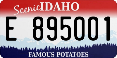 ID license plate E895001