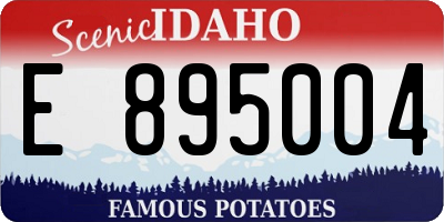 ID license plate E895004