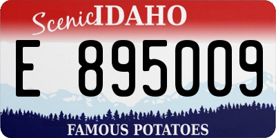 ID license plate E895009