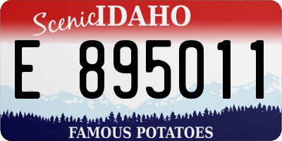 ID license plate E895011