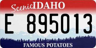ID license plate E895013