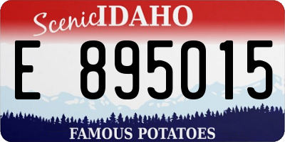 ID license plate E895015
