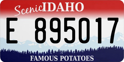 ID license plate E895017