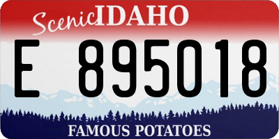 ID license plate E895018