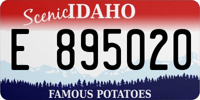 ID license plate E895020