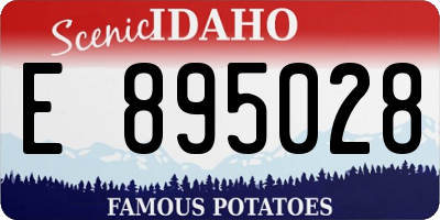 ID license plate E895028