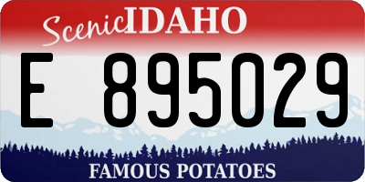 ID license plate E895029