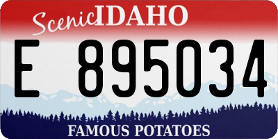 ID license plate E895034