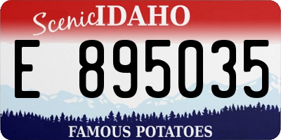 ID license plate E895035