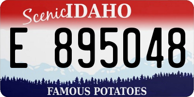 ID license plate E895048